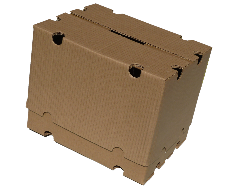 Telescopic Cartons 